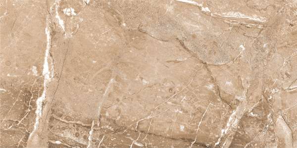 pavimento gres porcellanato - 600 x 1200 mm (24 x 48 pollici) - raymi-brown-1