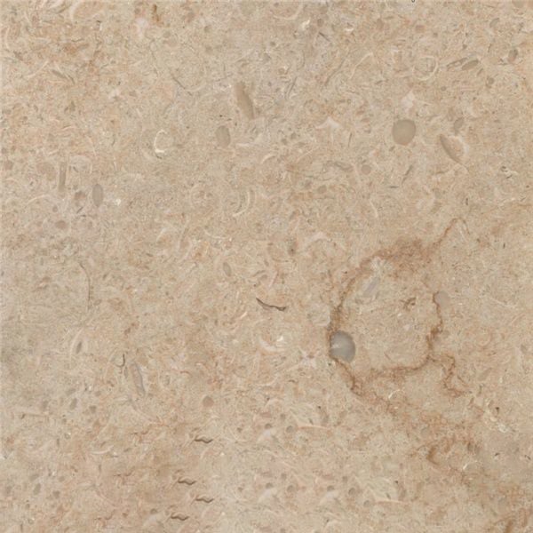 Sunny Menia Marble