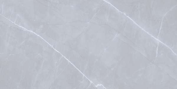 Glazed Porcelain Tiles - 600 x 1200 mm ( 24 x 48 inch ) - ARGOS GREY