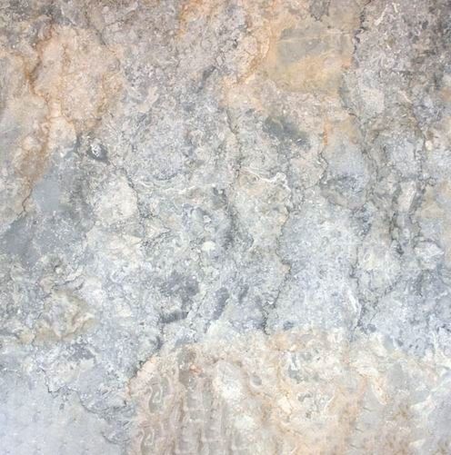 Blue Oyster Limestone