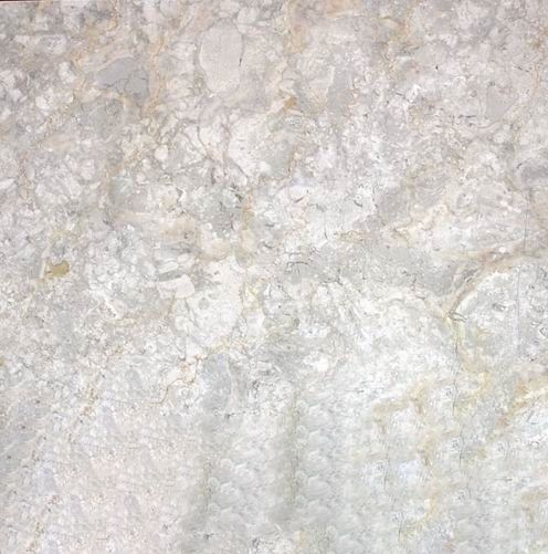 Royal Oyster Marble