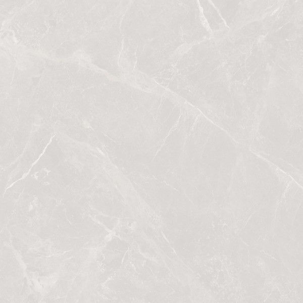 Glazed Porcelain Tiles - 1200 x 1200 mm ( 48 x 48 inch )  ( 4 x 4 Ft ) - STARK GREY_01_1