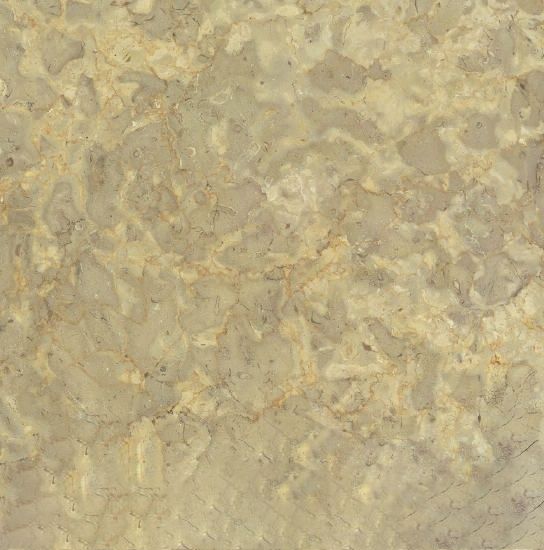 Sona Beige Marble