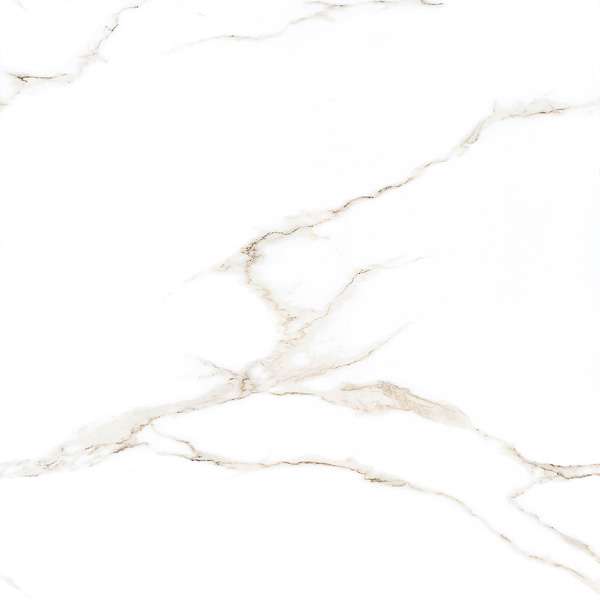 Glazed Porcelain Tiles - 600 x 600 mm ( 24 x 24 inch ) - ROSSO STATUTARIO