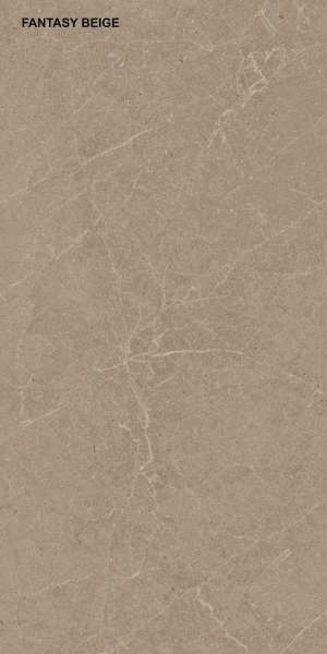 pavimento gres porcellanato - 600 x 1200 mm (24 x 48 pollici) - FANTASY BROWN P1 