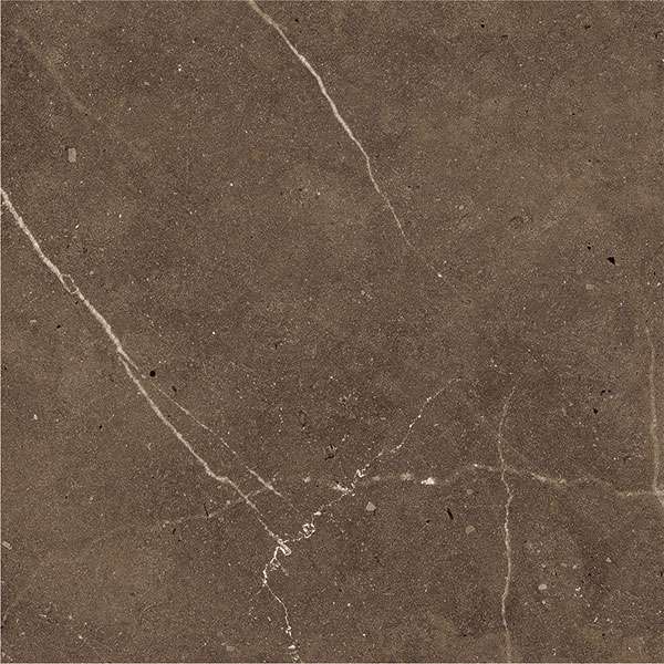 carrelage porcelanosa - 195 x 1200 mm (8 x 48 pouces) - svpl-3003-1