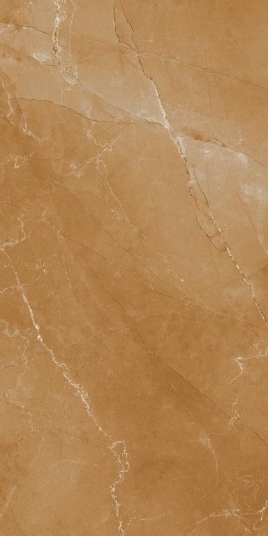 Glazed Porcelain Tiles - 600 x 1200 mm ( 24 x 48 inch ) - JORDAN  BROWN-1