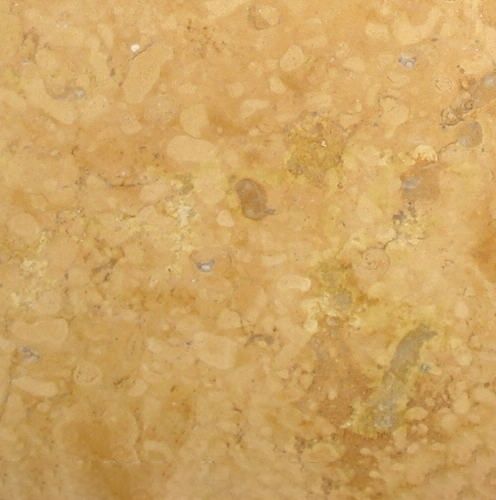 Ticul Gold Limestone