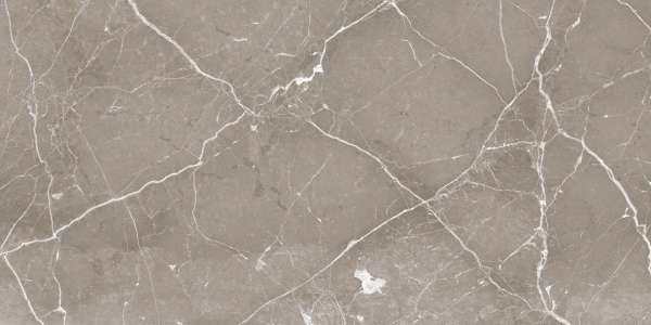 Glazed Porcelain Tiles - 600 x 1200 mm ( 24 x 48 inch ) - GRANDE VALOR PORT LOREN GREY