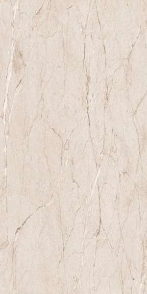 Glazed Porcelain Tiles - 600 x 1200 mm ( 24 x 48 inch ) - GRANDE VALOR IMP ASTOR MUSHROOM