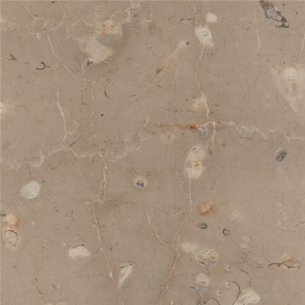 Phoenicia Beige Limestone