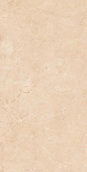 pavimento gres porcellanato - 600 x 1200 mm (24 x 48 pollici) - SAFARI BROWN[1]