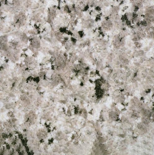 Champagne White Granite