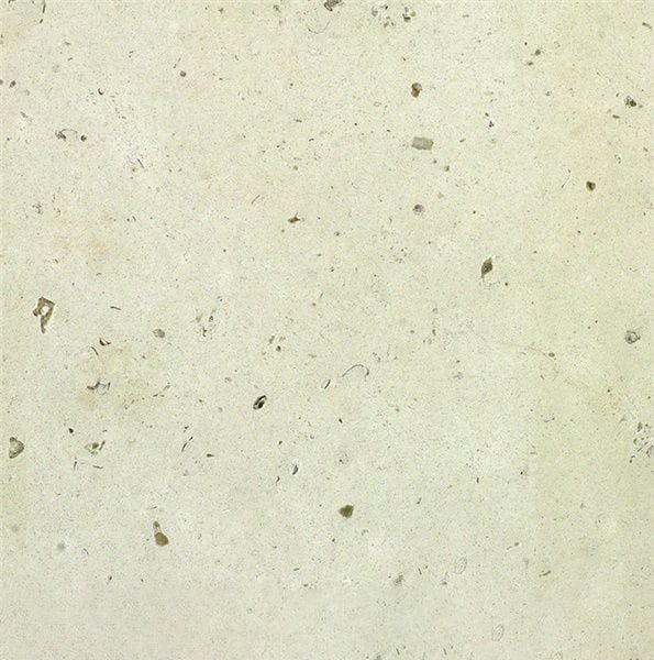 Fossil Limestone