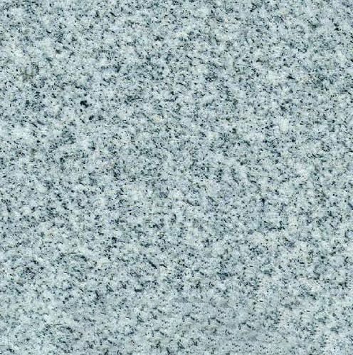 Georgia Grey