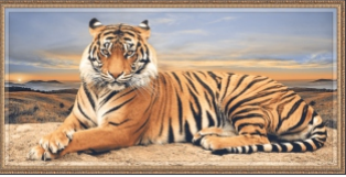 Azulejos de póster - 600 x 1200 mm (24 x 48 pulgadas) -  Tiger Picture | Ceramic Wall Tile | 600x1200mm (2x4ft) G-415