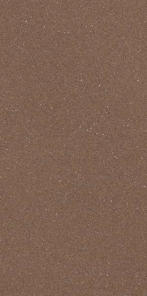 ကိုယ်ထည်အပြည့် Vitrified ကြွေပြားများ - 600 x 1200 mm (24 x 48 လက်မ) - WALNUT Matt