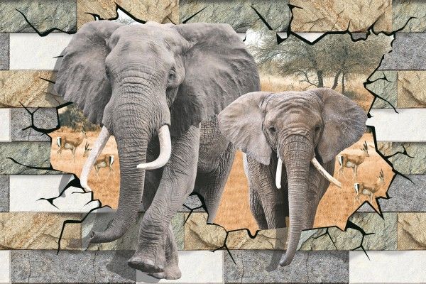 Wall Tiles - 250 x 375 mm ( 10 x 15 inch ) - Rectangular Elephant Print | Poster Wall Tile 250x375mm  P-1066