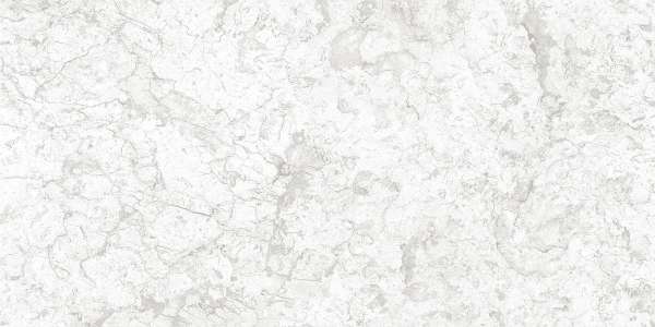 pavimento gres porcellanato - 600 x 1200 mm (24 x 48 pollici) - svpl-6009-1