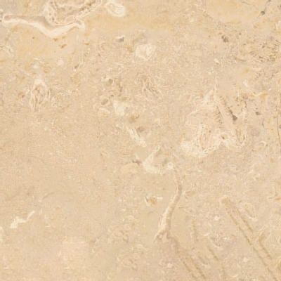 Beige Ain Dhissa Limestone