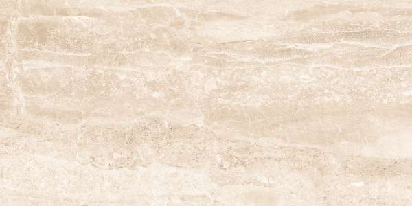 PGVT & GVT - 600 x 1200 mm (24 x 48 inch) - GRAINY BEIGE_01