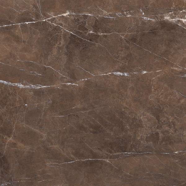 Glazed Porcelain Tiles - 600 x 600 mm ( 24 x 24 inch ) - TERIANT CHOCO_1