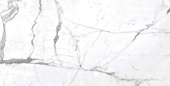 Glazed Porcelain Tiles - 600 x 1200 mm ( 24 x 48 inch ) - CARNOLI STATUTARIO R1