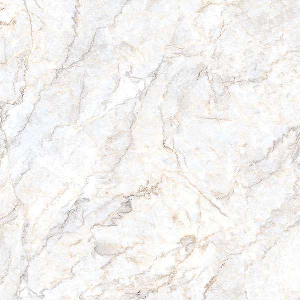 Glazed Porcelain Tiles - 600 x 600 mm ( 24 x 24 inch ) - svpl-2035-1