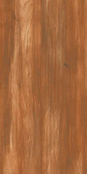 PGVT & GVT - 600 x 1200 mm (24 x 48 inch) - OKWEN WOOD (1)