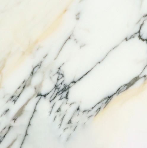 Paonazetto Bianco Marble