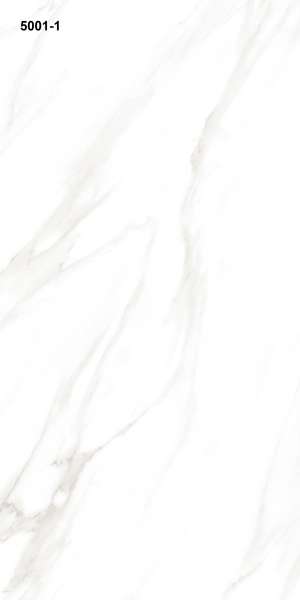 Glazed Porcelain Tiles - 600 x 1200 mm ( 24 x 48 inch ) - 5001-1