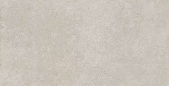 Glazed Porcelain Tiles - 600 x 1200 mm ( 24 x 48 inch ) - FIZA STEEL R1