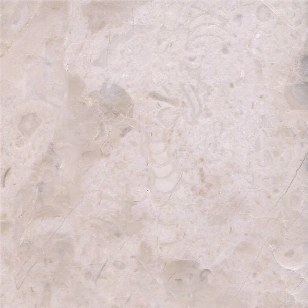 Almendra Marble