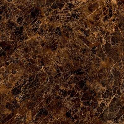 pavimento gres porcellanato - 600 x 600 mm (24 x 24 pollici) - Dark Empra R1