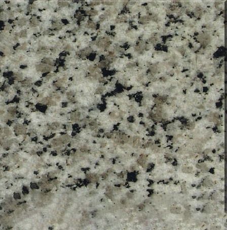 White Black Flower Granite