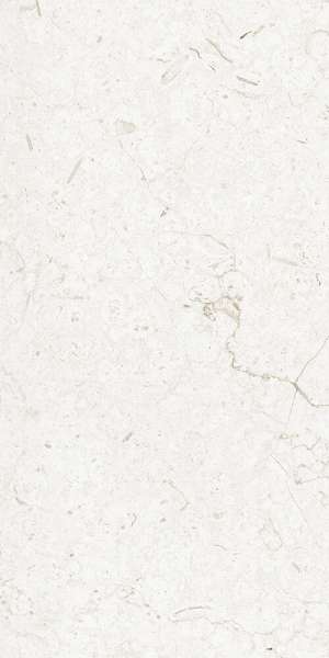 Glazed Porcelain Tiles - 600 x 1200 mm ( 24 x 48 inch ) - ARENA-ELITE-ICE-P2