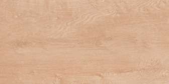 pavimento gres porcellanato - 600 x 1200 mm (24 x 48 pollici) - Bestley Pine