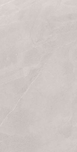 Glazed Porcelain Tiles - 600 x 1200 mm ( 24 x 48 inch ) - ALINA-METAL-R1