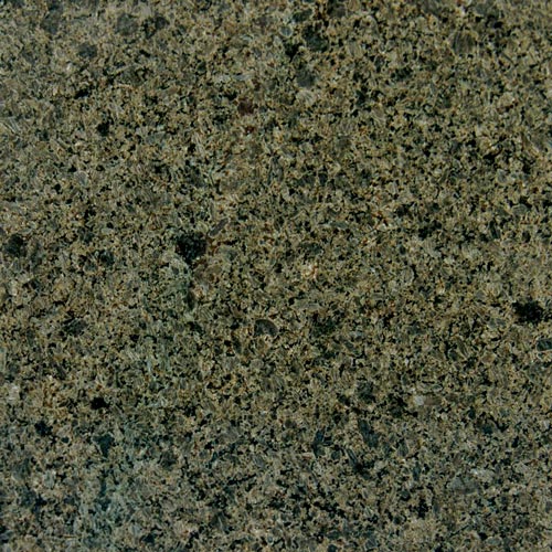 Cactus Granite countertop