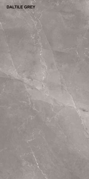 PGVT & GVT - 600 x 1200 mm ( 24 x 48 inci ) - DALTILE GREY_F1