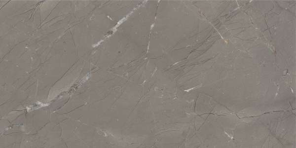 Glazed Porcelain Tiles - 600 x 1200 mm ( 24 x 48 inch ) - basalto-tusk-1