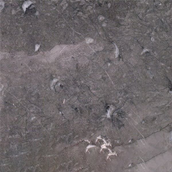 Patini Grey Marble