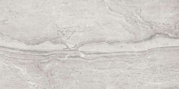 azulejo hidráulico - 600 x 1200 mm (24 x 48 polegadas) - ENTOX GREY R1