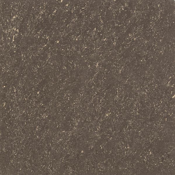 Double agbara Vitrified Tiles - 600 x 600 mm (24 x 24 inch) - Coffee