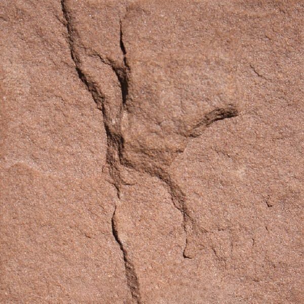 Sosnowica Red Sandstone