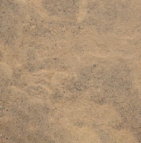 Bedonia Sandstone