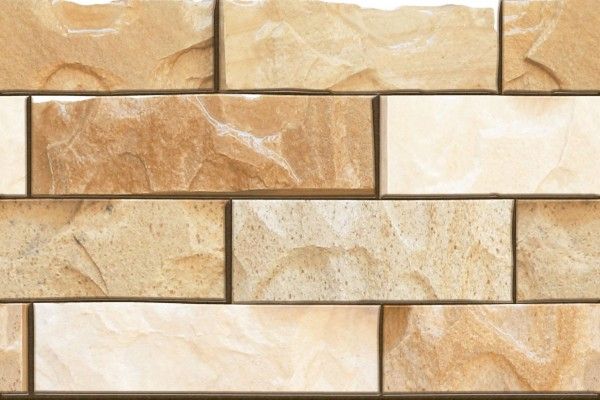 Exterior / Elevation Tiles - 250 x 375 mm ( 10 x 15 inch ) - E-746