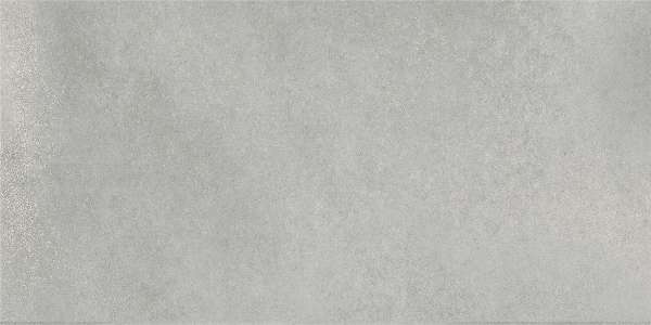 zementfliesen - 600 x 1200 mm (24 x 48 Zoll) - ceres-gris-1