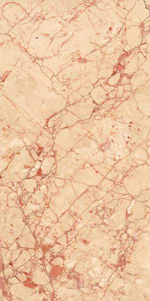 pavimento gres porcellanato - 600 x 1200 mm (24 x 48 pollici) - CASTILANO-RED_R1