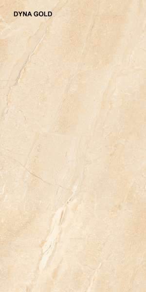 pavimento gres porcellanato - 600 x 1200 mm (24 x 48 pollici) - DYNA GOLD_F1